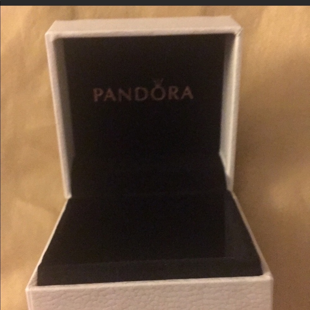 New Official Pandora Box
